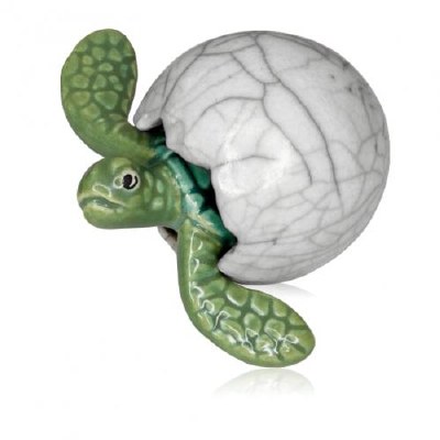 3" Green Sea Turtle Hatchling With White Crackle Egg