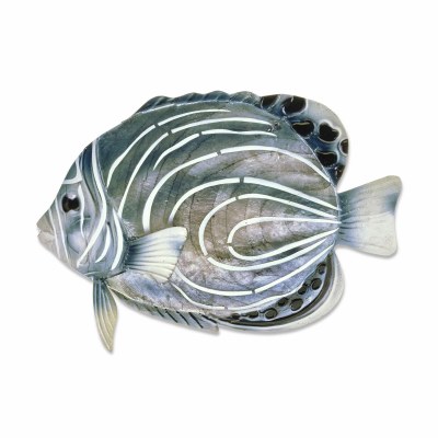 8" Multicolor Capiz and Metal Koran Angelfish Wall Plaque