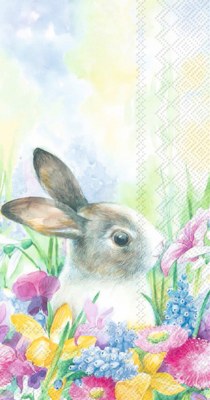 5" x 9" Ruby in the Meadow Brown and White Bunny in Flowers Guest Towels