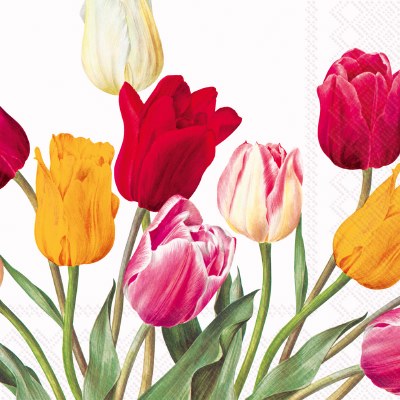6.5" Square Multicolor Tulips on Lunch Napkins