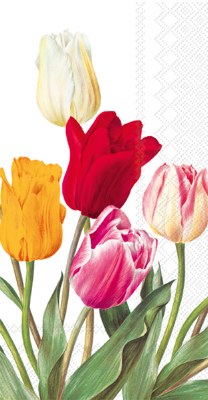 5" x 9" Multicolor Tulips on White Guest Towels