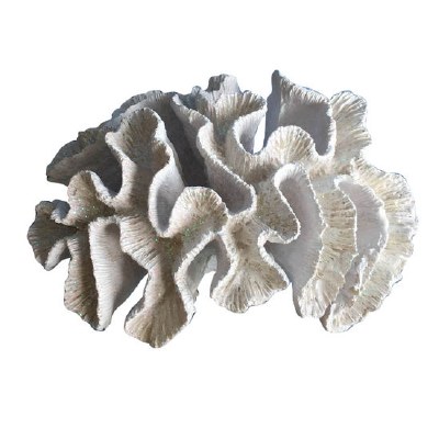 9" White Faux Resin Brain Coral