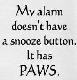 "My Alarm Doesn't Have A Snooze Button. It Has PAWS." Kitchen Towel