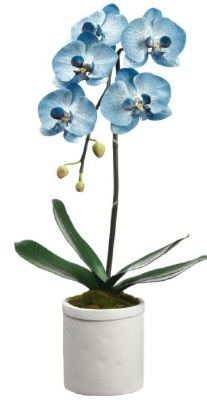 23" Faux Blue Delphinium Phalaenopsis Orchid Plant in White Terracotta Pot