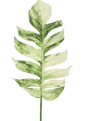 37" Faux White and Green Variegated Split Philodendron Leaf Spray