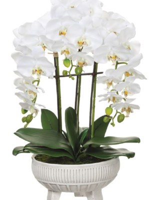 22" Faux White Phalaenopsis Orchid Plant in White Ceramic Pot