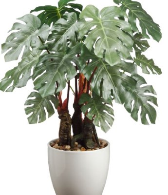 22" Faux Green 16 Leaf Split Philodendron in White Ceramic Pot