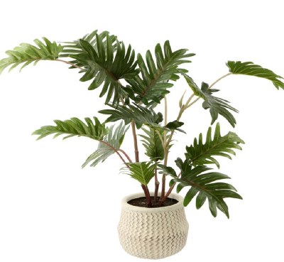 20" Faux Green Philodendron Selloum Plant in White Cement Pot