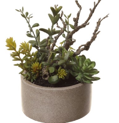 11" Faux Two Tone Green Succulent in Cement Pot