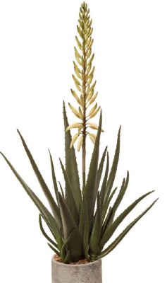 30" Faux Green White Blooming Agave Plant in Gray Cement Pot