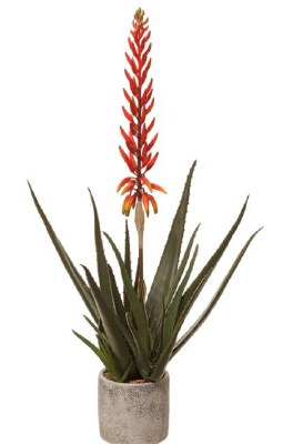 30" Faux Green Red Blooming Agave Plant in Gray Cement Pot