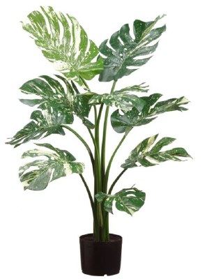 36" Faux Green Cream Split Philodendron Plant in Black Pot