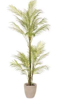 62" Faux Green Areca Palm Tree in a White Cement Pot