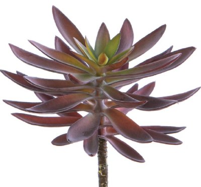 9" Faux Burgundy Green  Agave Pick