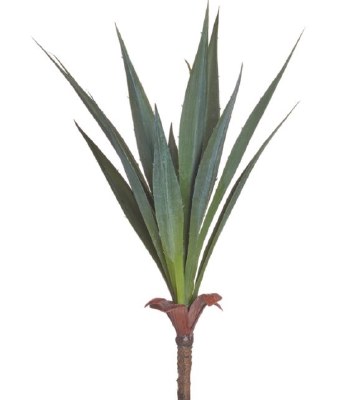 13" Faux Green Gray Yucca Plant