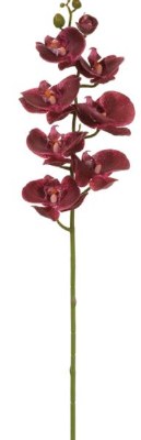 30" Faux Real Touch Plum Phalaenopsis Orchid Spray With 8 Flowers