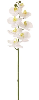 30" Faux Real Touch White Phalaenopsis Orchid Spray With 8 Flowers
