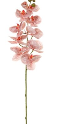 43" Faux Real Touch Cinnamon Phalaenopsis Orchid Spray With 10 Flowers