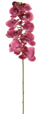 43" Faux Real Touch Plum Phalaenopsis Orchid Spray With 10 Flowers