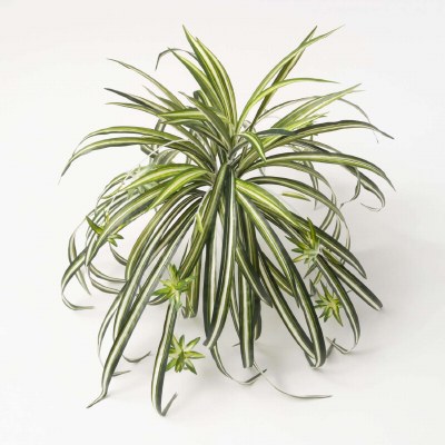 19" Faux Green and White Spider Plant