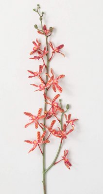 32" Faux Coral Spider Orchid Stem