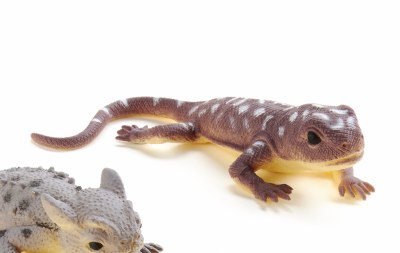 7" Purple Color Changing Stretchy Lizard