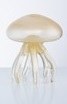 7.5" Gold Glass Jellyfish