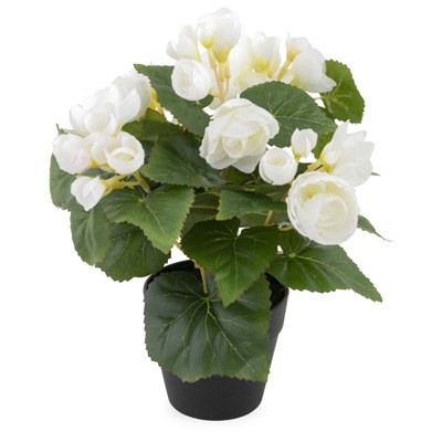 10" Faux Cream Begonia Potted Plant