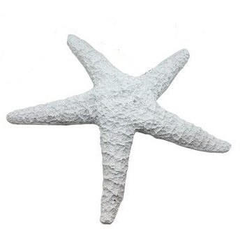 10" Faux White Starfish
