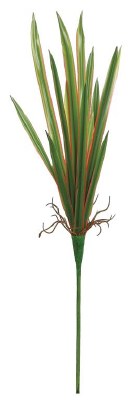 23" Faux Green and Red Narrow Leaf Dracaena