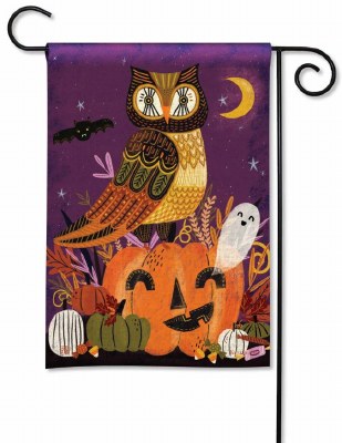 18" x 13" Mini Halloween Owl Garden Flag Decoration