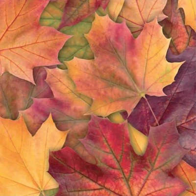 Fall Maple Leaves Beverage Napkin Fall and Thanksgiving