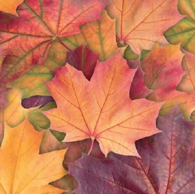 Fall Maple Leaves Lunch Napkin Fall and Thanksgiving