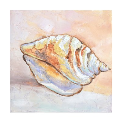 31" Sq Conch Shell Canvas