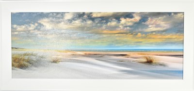 22" x 46" Beach Grass Gel Textured Coastal Print in a White Frame