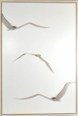 62" x 42" Three Seagulls on a White Background Canvas in a White Wash Frame