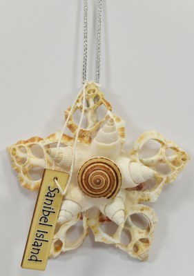 Sanibel Island Bursa Star Shell Ornament