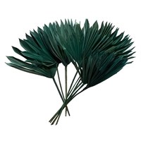 Bundle of Ten Aqua Palm Fronds