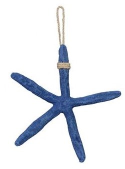 8" Blue Starfish With Rope Plaque