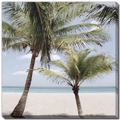 38" Sq Two Palm Trees Beach Canvas