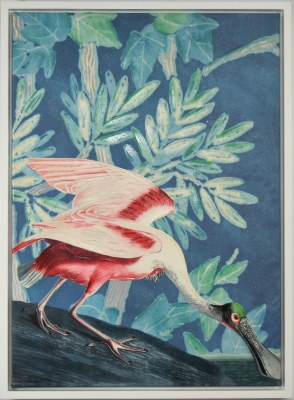 30" x 22" Roseate Spoonbill Canvas in a White Frame