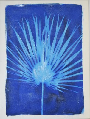 24" x 18" Blue Palmetto Frond 1 Canvas