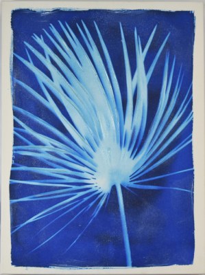 24" x 18" Blue Palmetto Frond 2 Canvas