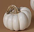 Small White Polyresin Pumpkin Fall and Thanksgiving Decoration