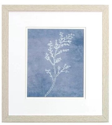 16" x 14" White Seeds on a Blue Background Framed Print Under Glass