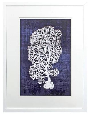 25" x 19" White Web Seafan Framed Print Under Glass