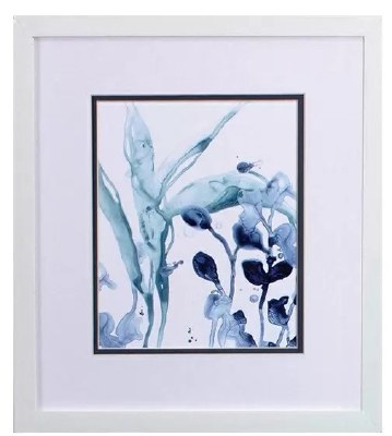16" x 14" Blue Kelp on the Left Framed Print Under Glass