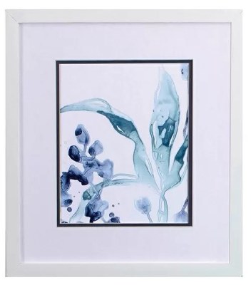 16" x 14" Blue Kelp on the Right Framed Print Under Glass