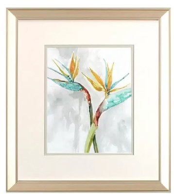 17" x 15" Two Birds of Paradise Framed Print Under Glass
