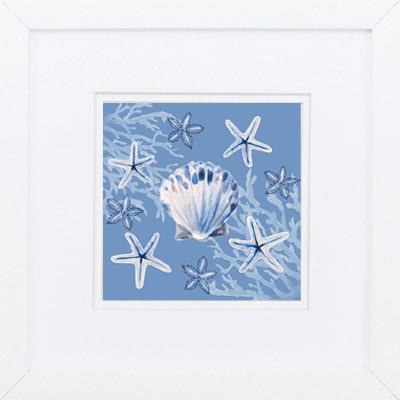 11" Sq Indigo Scallop Shell and Starfish Framed Print Under Glass